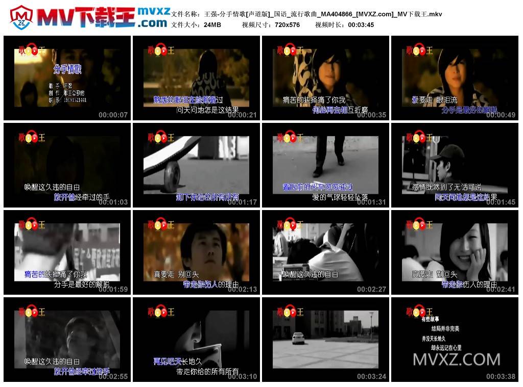 王强-分手情歌[声道版]_国语_流行歌曲_MA404866